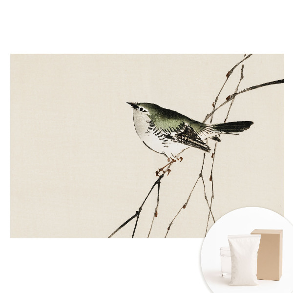 Nem szőtt tapéta Madár egy ágon minimalizmus harmónia.