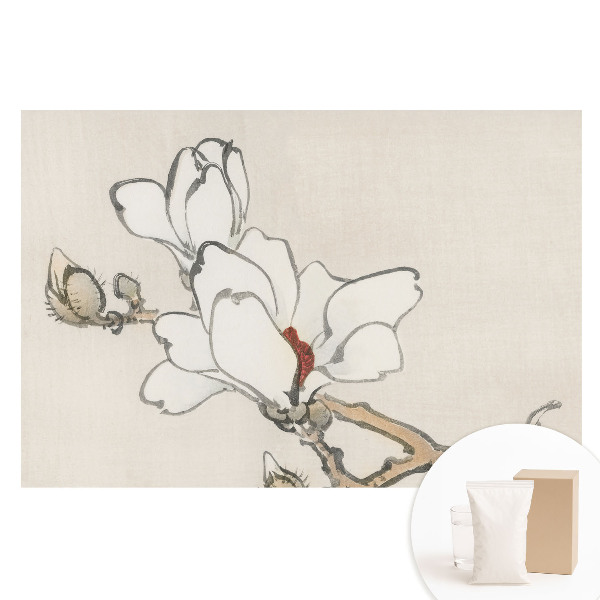 Nem szőtt tapéta Klasszikus magnóliák tintával