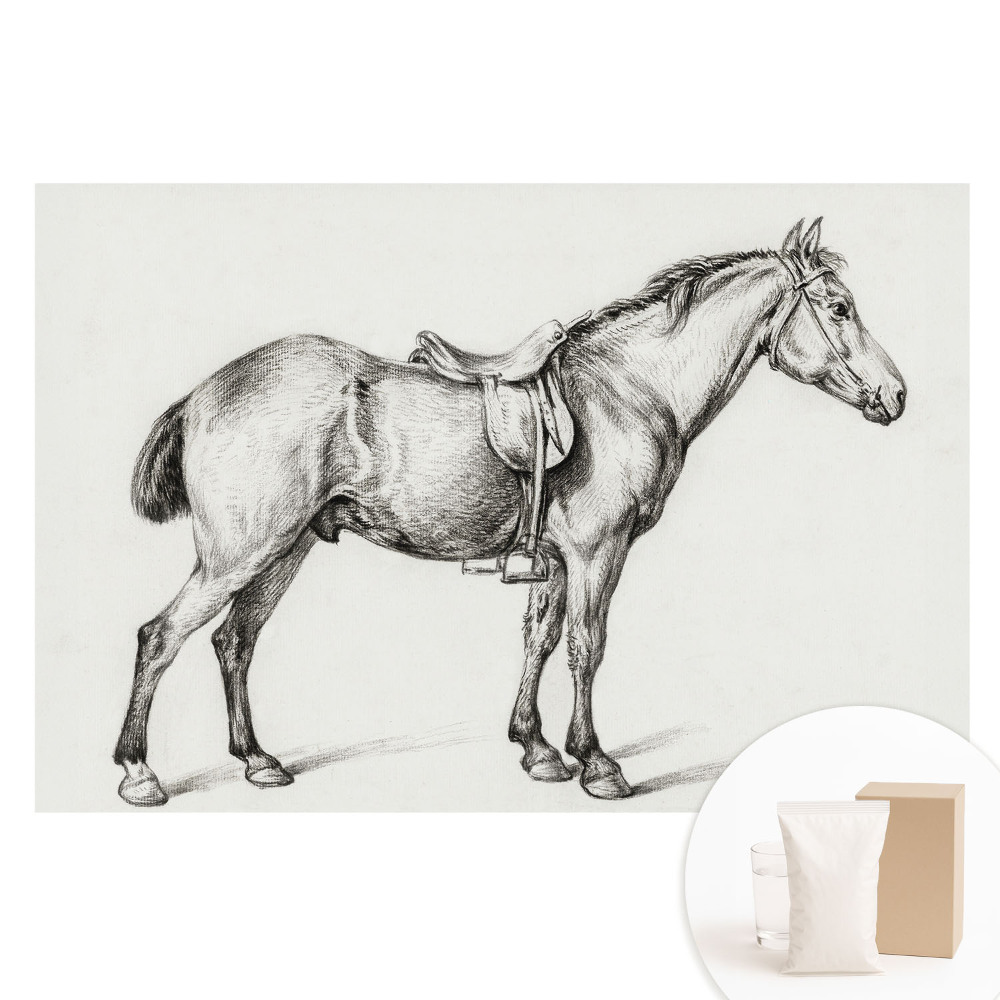 Nem szőtt fotótapéta Realisztikus ló nyereggel