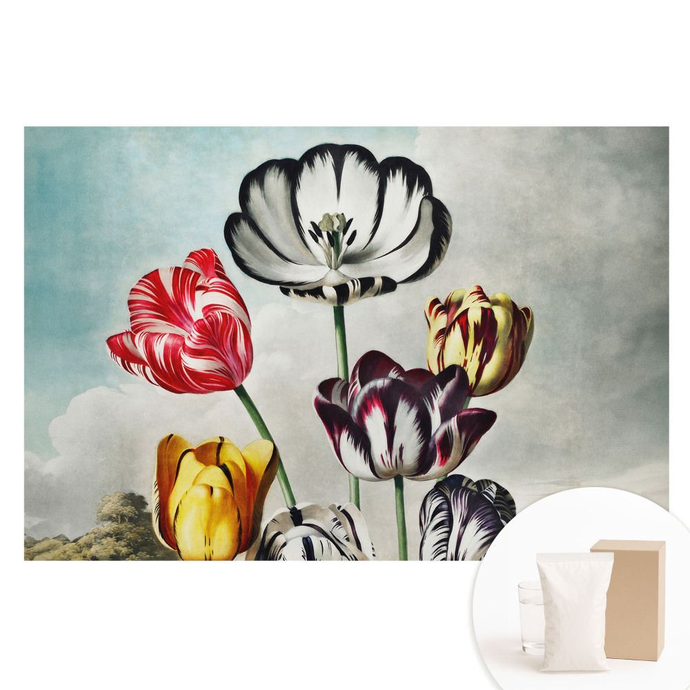 Nem szőtt tapéta Tulipáncsokor, klasszikus elegancia