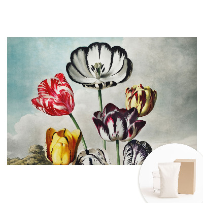 Tulipáncsokor mintás vlies tapéta, klasszikus elegáns stílusban