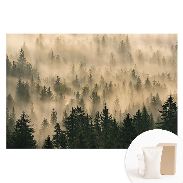 Nem szőtt fotótapéta Erdő a reggeli ködben