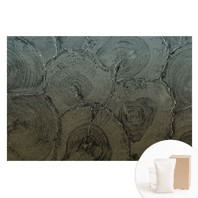 Nagyméretű fotótapéta a falra Szürke faerezetes klasszikus minta