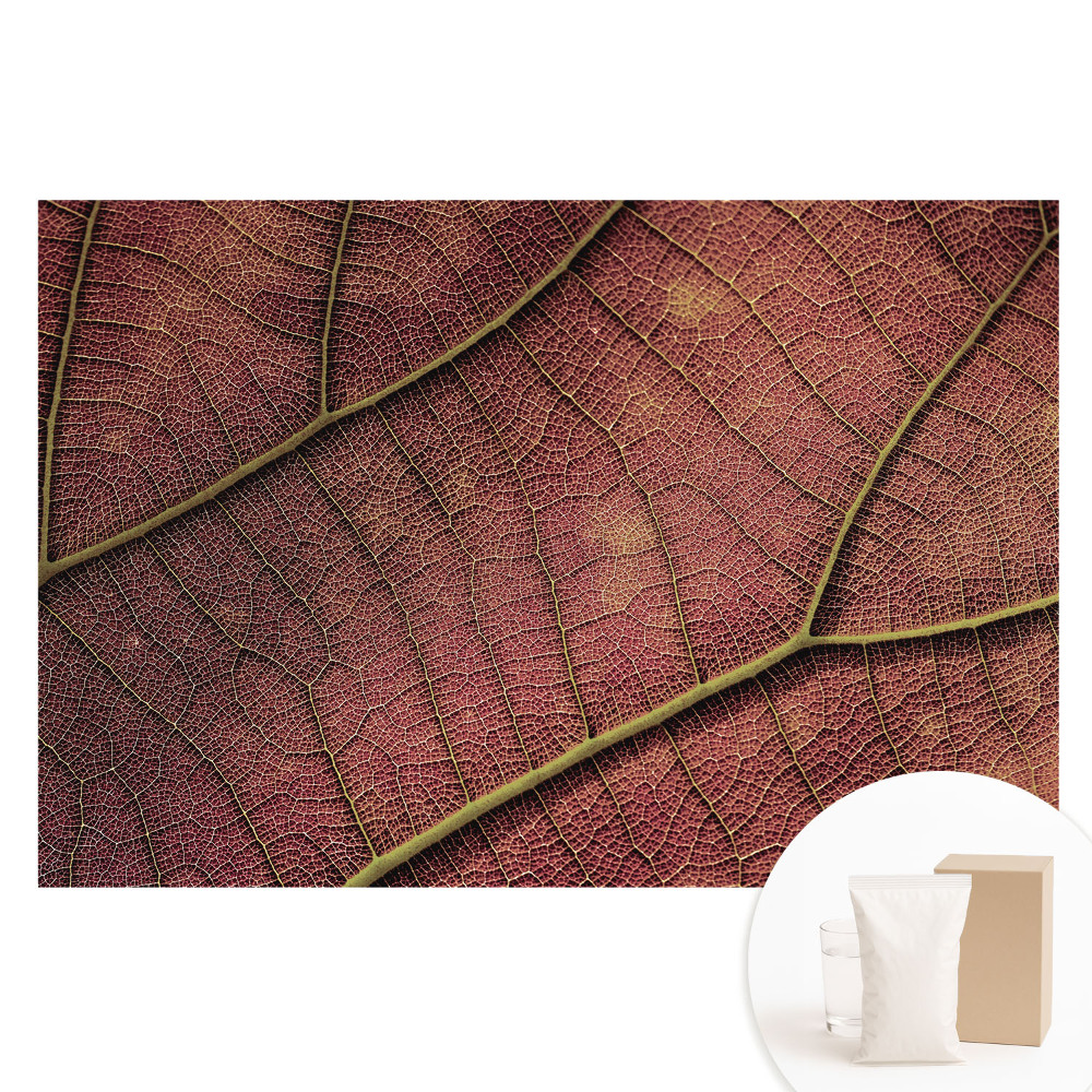 Nagyméretű fotótapéta a falra A levél szerkezete tele van részletekkel és színekkel