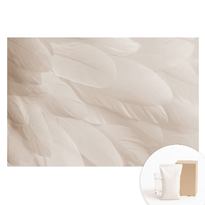 Fotótapéta nem szőtt anyagon Finom tollak harmonikus kompozíciója