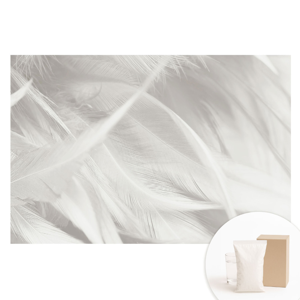 Nem szőtt fotótapéta Pihe-fehér tollak