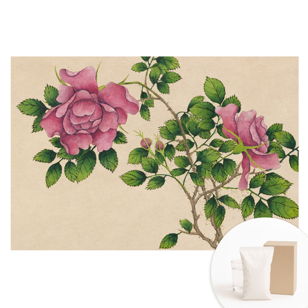 Nem szőtt tapéta Rózsaszín szépség klasszikus stílusban