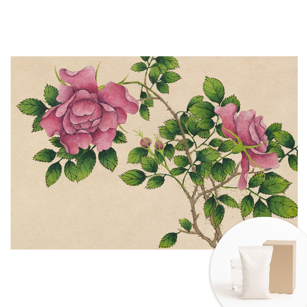 Nem szőtt tapéta Rózsaszín szépség klasszikus stílusban