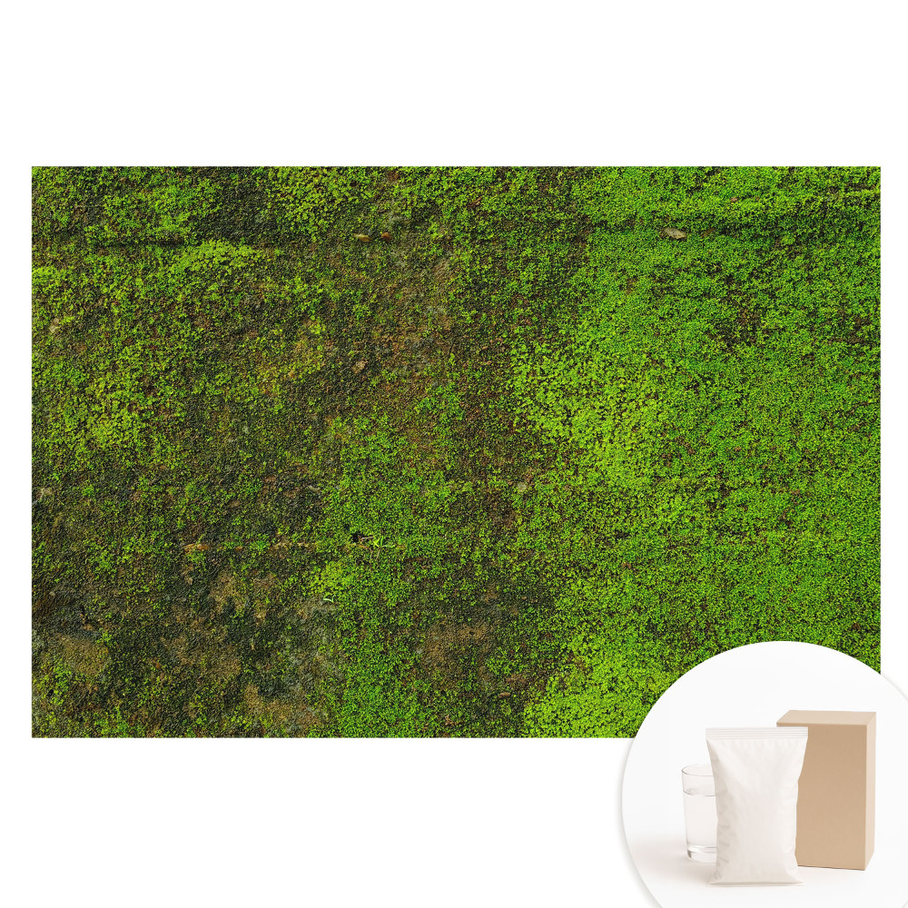 Nem szőtt tapéta Moha szerves textúra