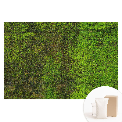 Nem szőtt tapéta Moha szerves textúra