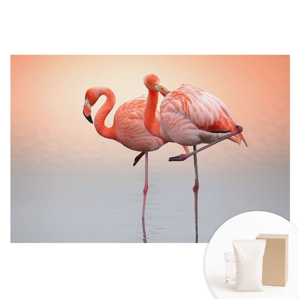 Nem szőtt fotótapéta Flamingók pasztell háttérrel