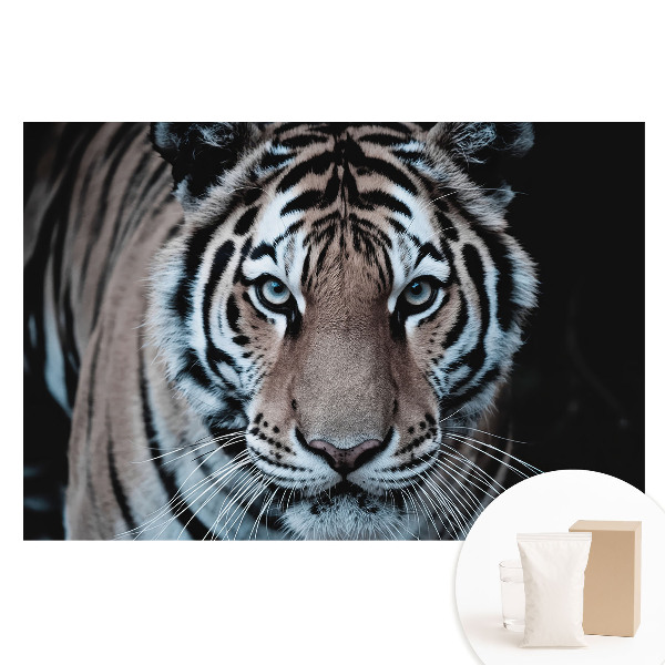 Nem szőtt tapéta nyomtatással Mágnesező tigris dinamikus kompozíció