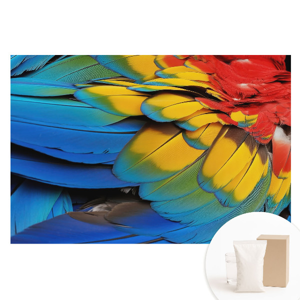 Fotótapéta nem szőtt anyagon Színes tollak energikus mozaikja