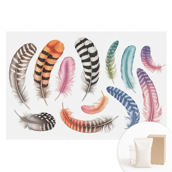 Fotótapéta nem szőtt anyagon Színes tollak modern dizájnnal