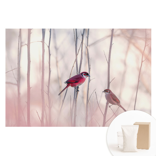 Nem szőtt anyagra nyomtatott fotótapéta Aranyos madarak a rózsaszín erdőben