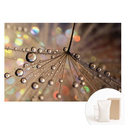 Fotótapéta nem szőtt anyagon A háttérben szétszórt cseppek finom szerkezete