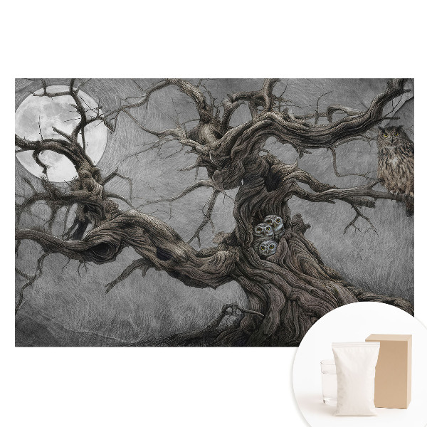 Nem szőtt fotótapéta Varázslatos éjszakai táj baglyokkal