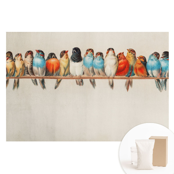 Nem szőtt tapéta Színes madarak egy ágon klasszikus stílusban