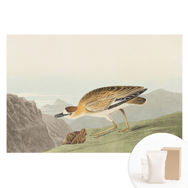 Nem szőtt tapéta nyomtatással Egy madár a hegyoldalban