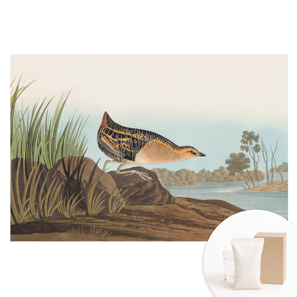 Nem szőtt tapéta Egy madár a víz felett klasszikus stílusban