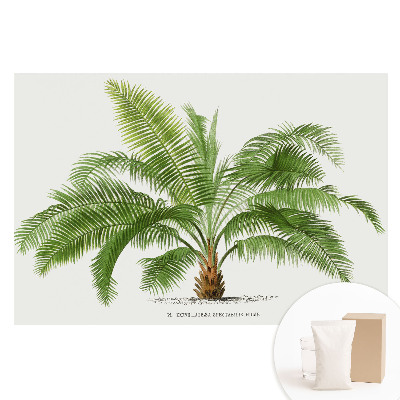 Nagyméretű trópusi pálmafa illusztráció mintás fotótapéta