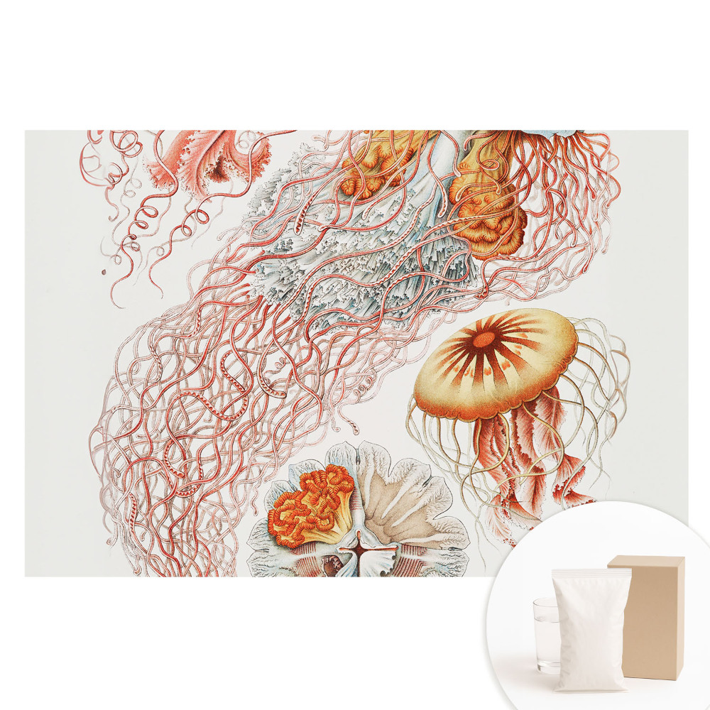 Nem szőtt tapéta nyomtatással Művészi medúza részletekkel