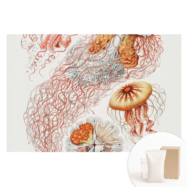 Nem szőtt tapéta nyomtatással Művészi medúza részletekkel
