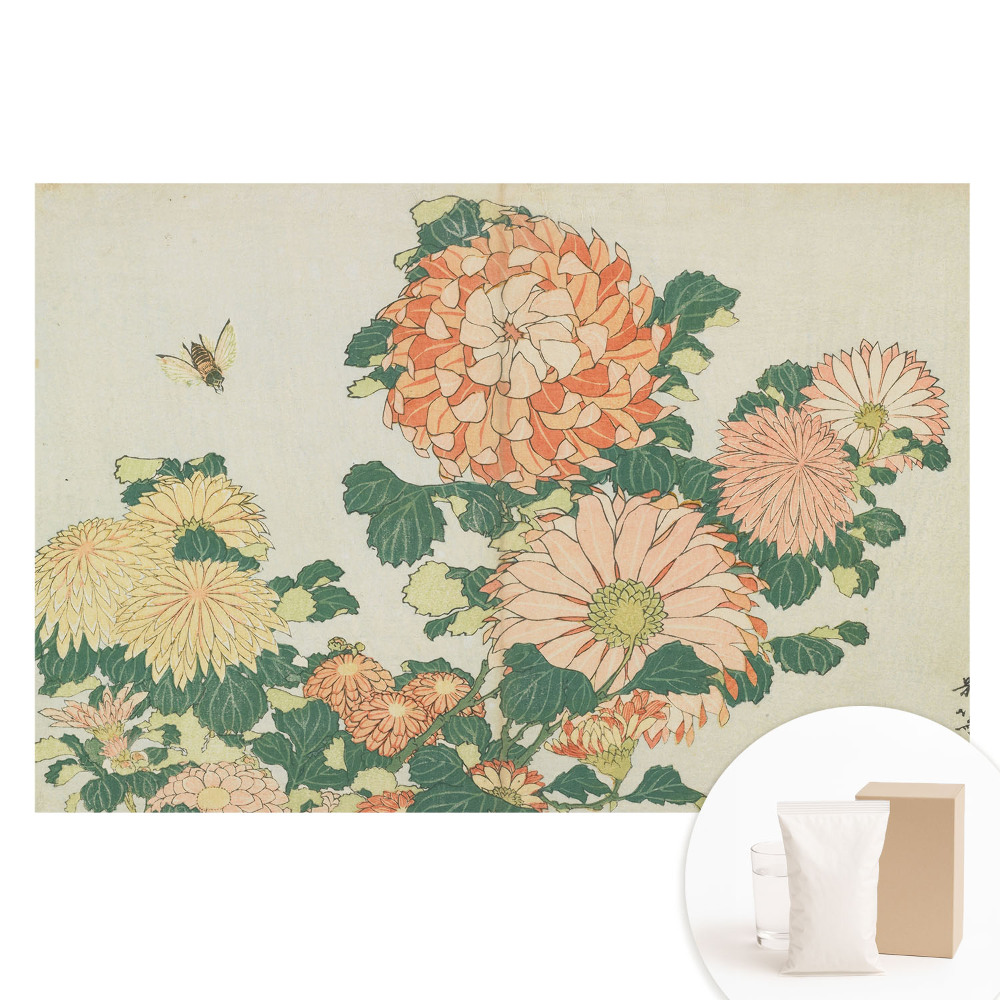 Fotótapéta nem szőtt anyagon Krizantém virágok méh harmónia