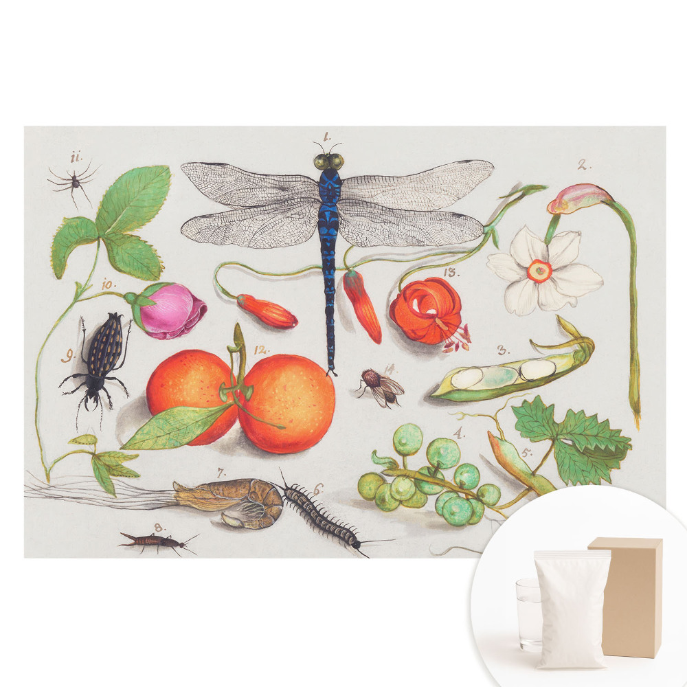 Nem szőtt tapéta nyomtatással Botanikai kollázs rovarokkal