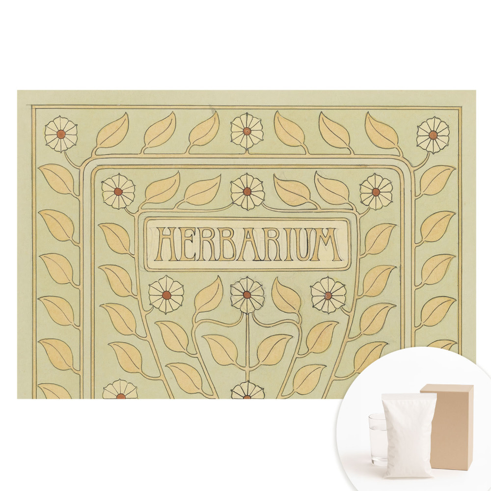 Nagyméretű fotótapéta a falra Szecessziós növényi motívumok Herbarium felirattal