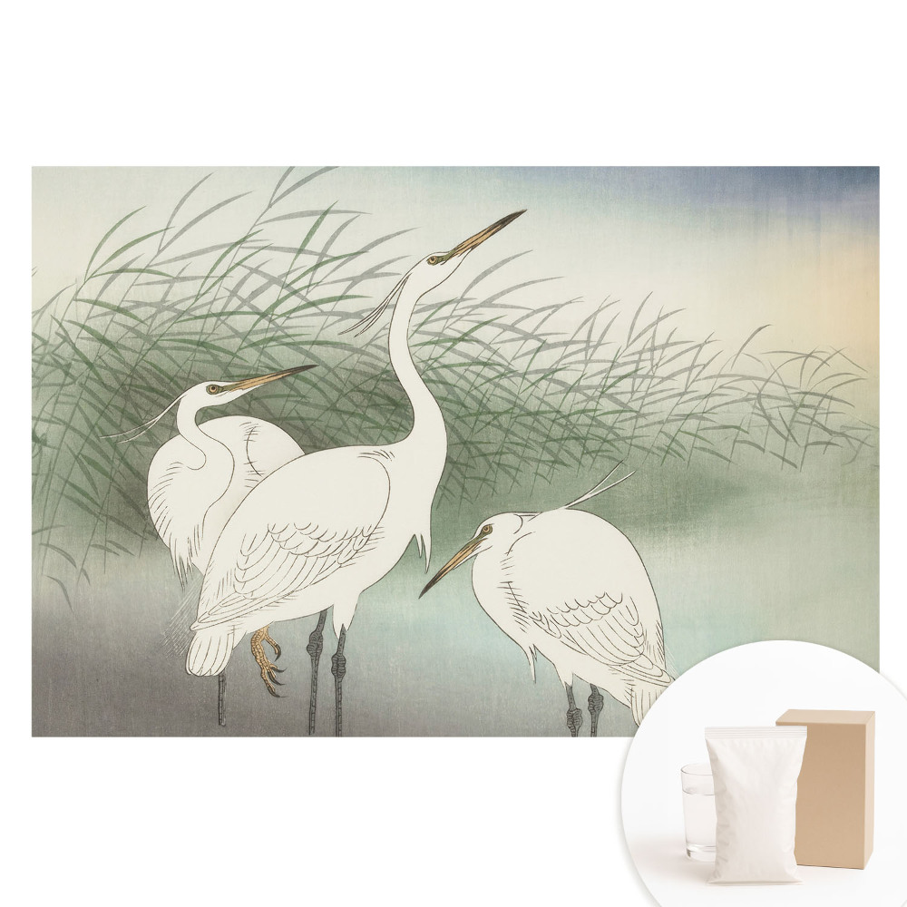 Fotótapéta nem szőtt anyagon Finom madarak a fűben