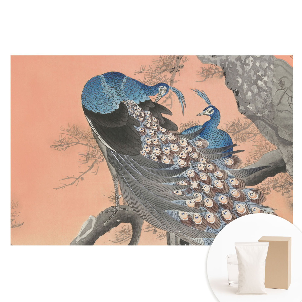 Fotótapéta nem szőtt anyagon Pávák egy ágon klasszikus stílusban