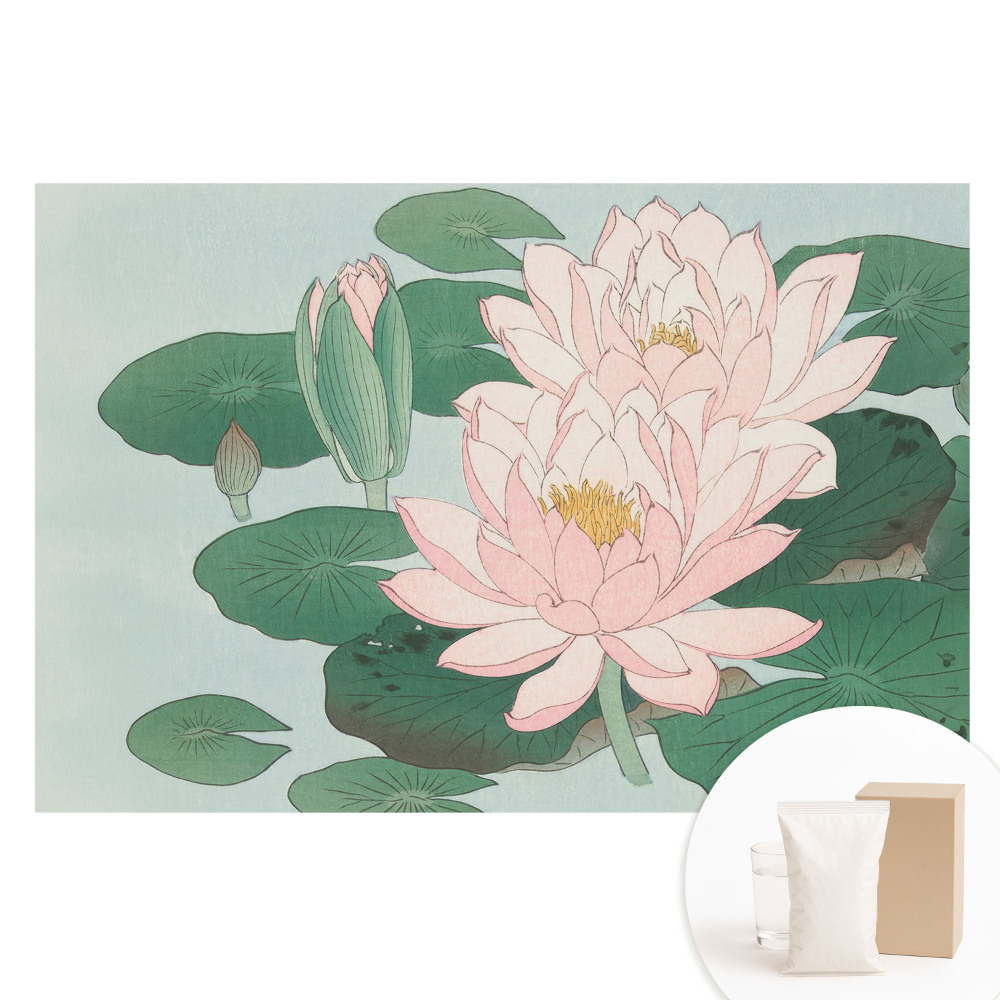 Nem szőtt anyagra nyomtatott fotótapéta Lótuszvirág zöld leveleken