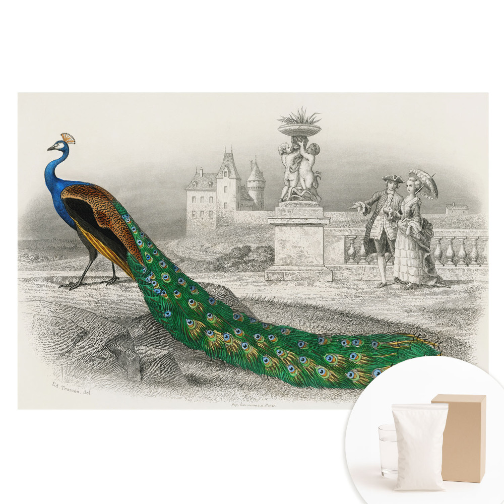 Nem szőtt tapéta nyomtatással Páva egy kertben barokk figurákkal