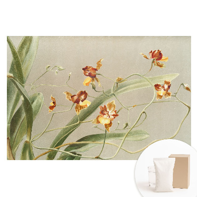 Gyönyörű orchideák szürke háttéren mintás vlies fotótapéta