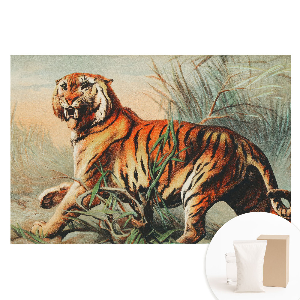 Nem szőtt tapéta nyomtatással Egy fenséges tigris vad környezetben