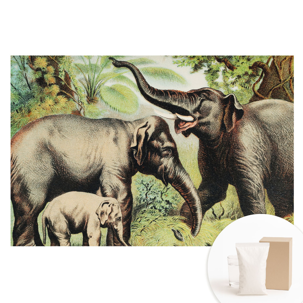 Nem szőtt anyagra nyomtatott fotótapéta Elefántcsalád a dzsungel hátterében
