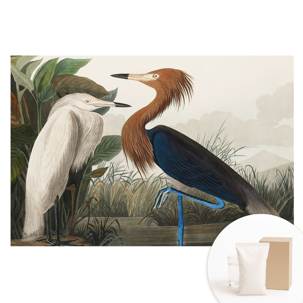 Nem szőtt tapéta Elegáns madarak a növényzetben