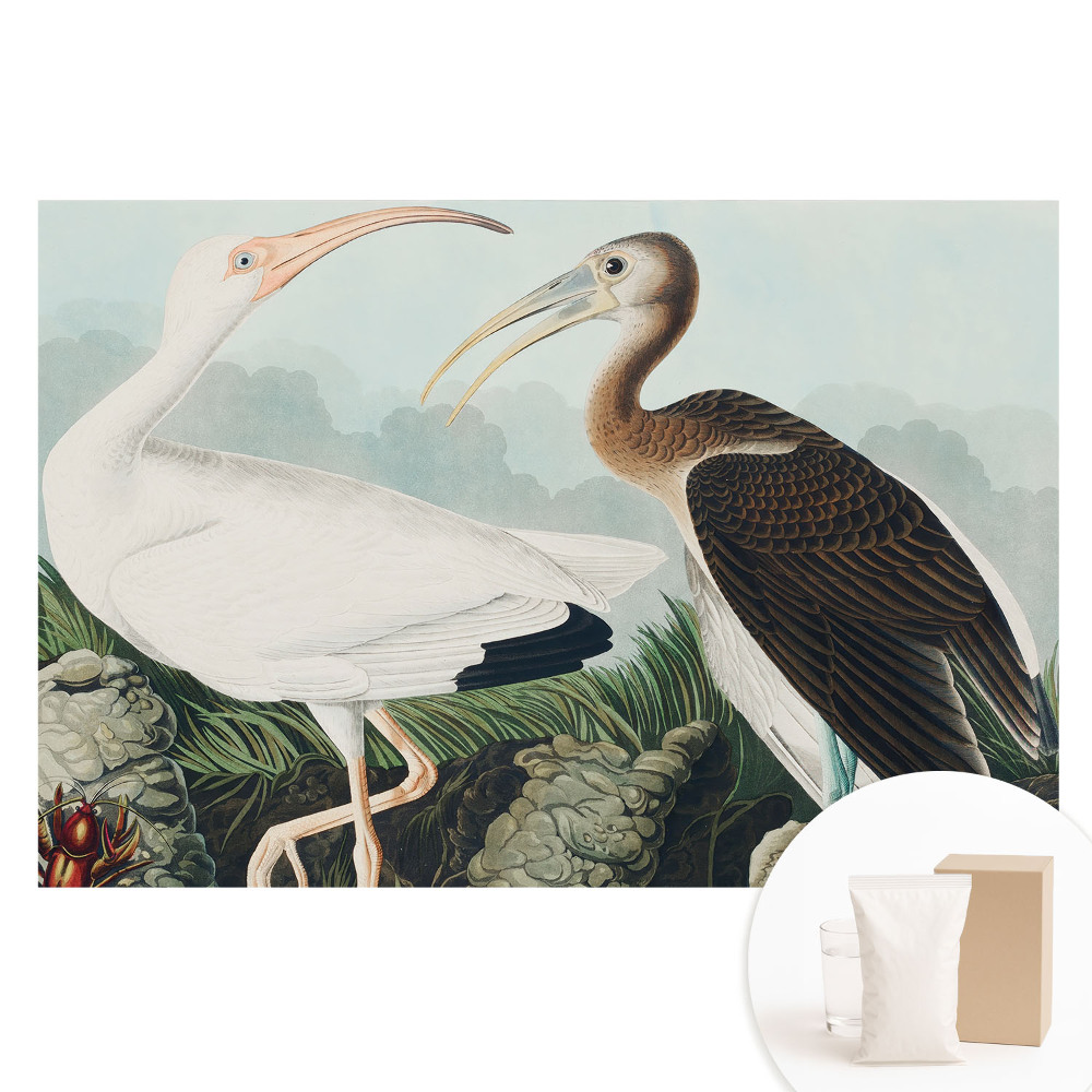 Nem szőtt tapéta nyomtatással Két madár természetes környezetében