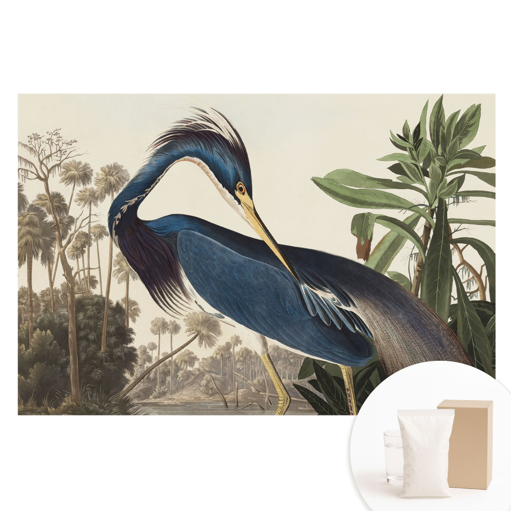 Nem szőtt fotótapéta Egy egzotikus madár a növényzet hátterében