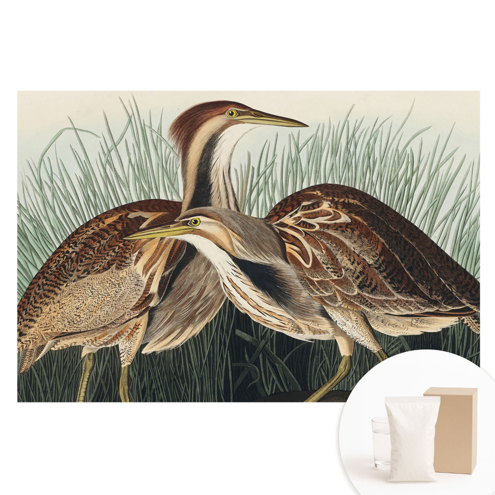 Nagyméretű fotótapéta a falra Madarak a fűben Klasszikus realizmus Szimmetria