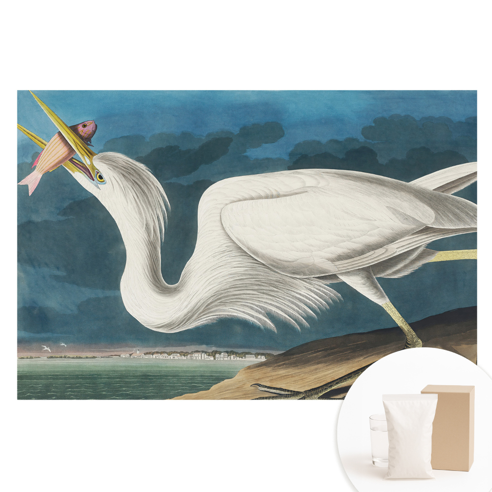 Nagyméretű fotótapéta a falra Madár eleganciája és természete