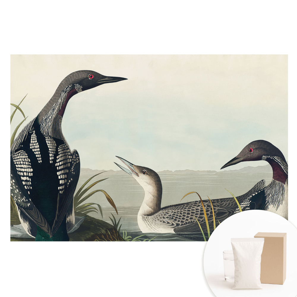 Nem szőtt anyagra nyomtatott fotótapéta Három madár klasszikus stílusban.