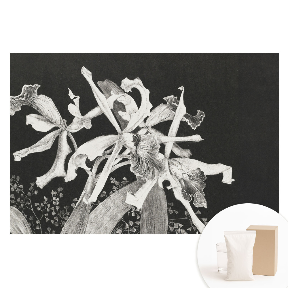 Fotótapéta nem szőtt anyagon Elegáns virágok sötét háttér előtt