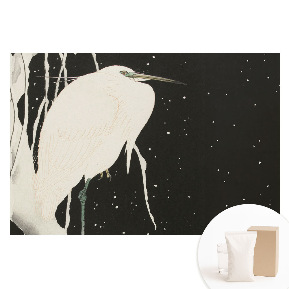 Nem szőtt tapéta nyomtatással Egy madár egy ágon egy téli estén