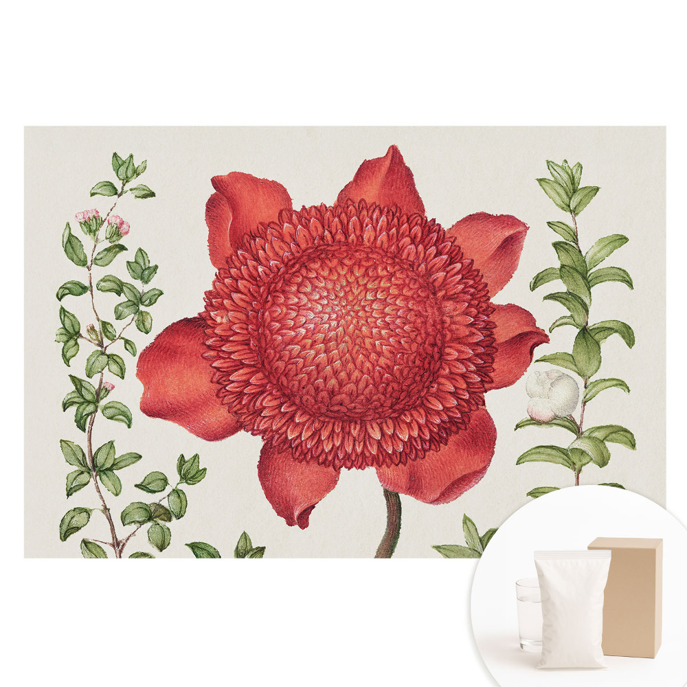 Nem szőtt anyagra nyomtatott fotótapéta Klasszikus természetközeli virágkompozíció