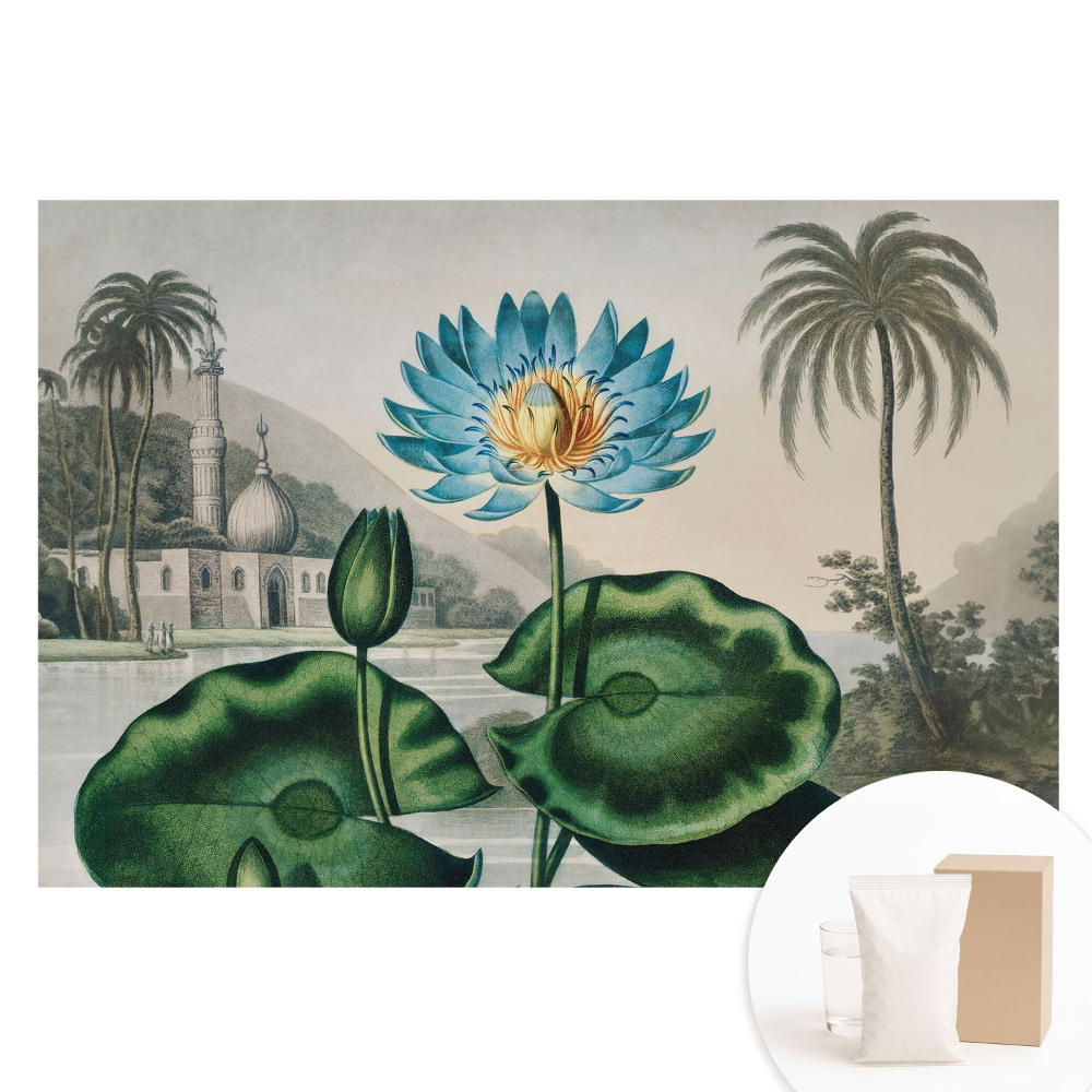 Nem szőtt tapéta nyomtatással Egy egzotikus liliom trópusi környezetben