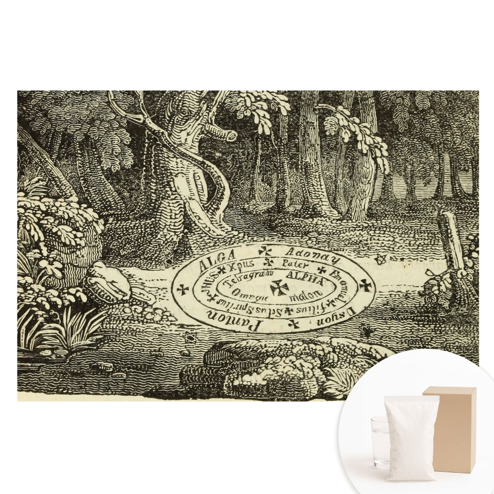 Fotótapéta nem szőtt anyagon Misztikus erdő klasszikus illusztráció