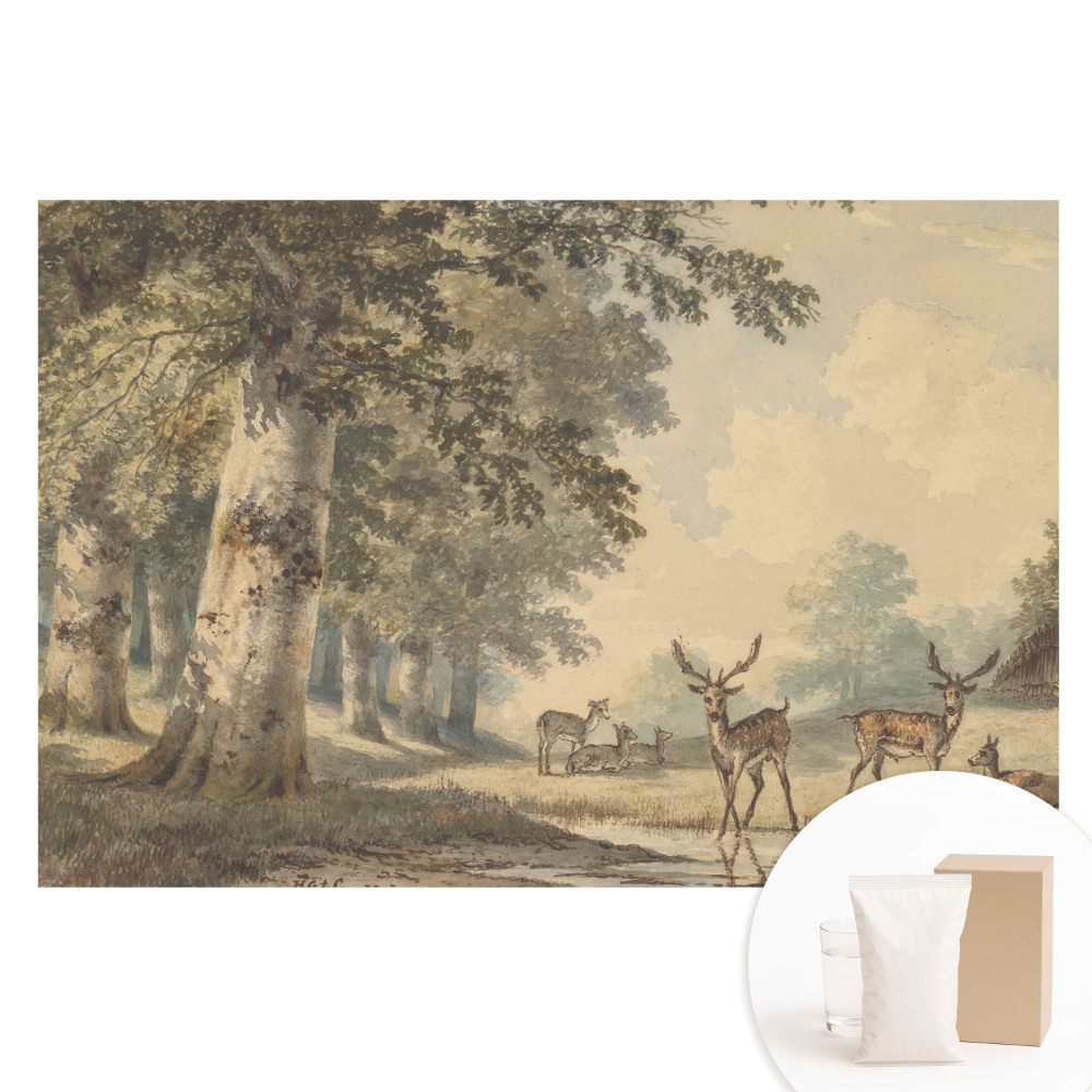 Nem szőtt anyagra nyomtatott fotótapéta Erdei szarvasok a patak mellett