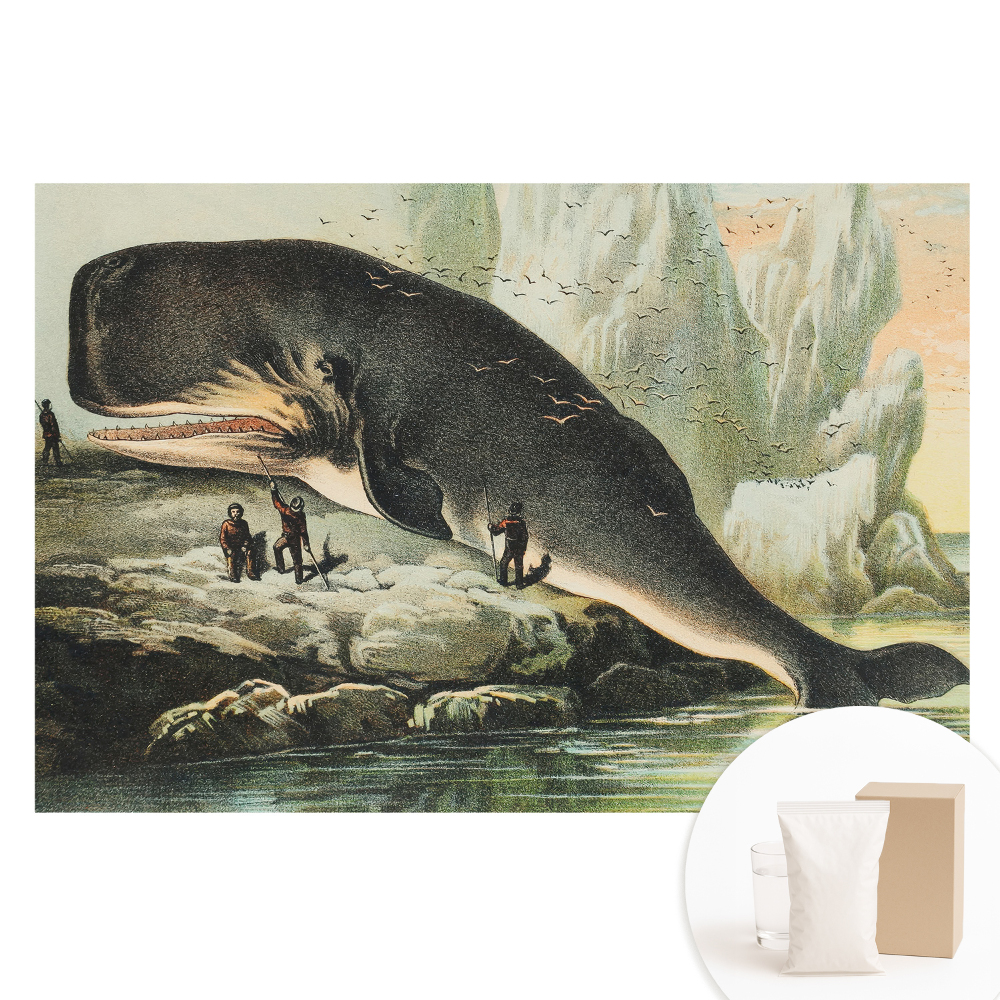 Fotótapéta nem szőtt anyagon Ámbráscet a parton klasszikus környezetben